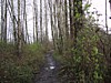 IMG_2199.JPG