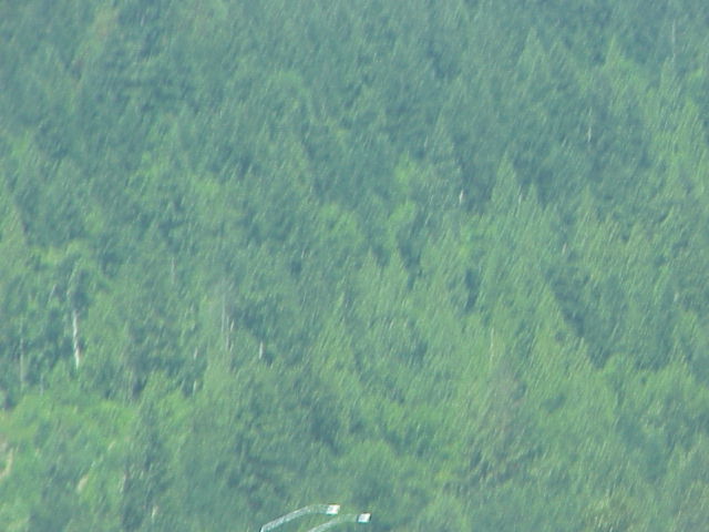 MVC-037F.JPG