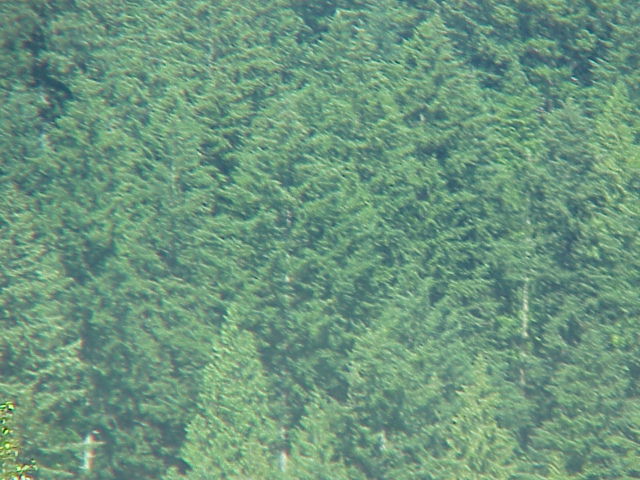 MVC-039F.JPG