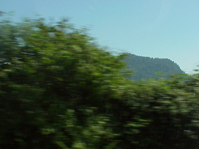 MVC-046F.JPG