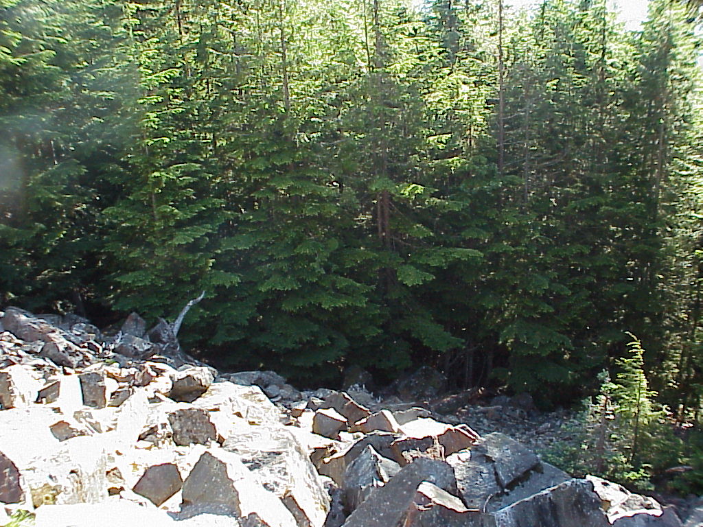 MVC-066X.JPG