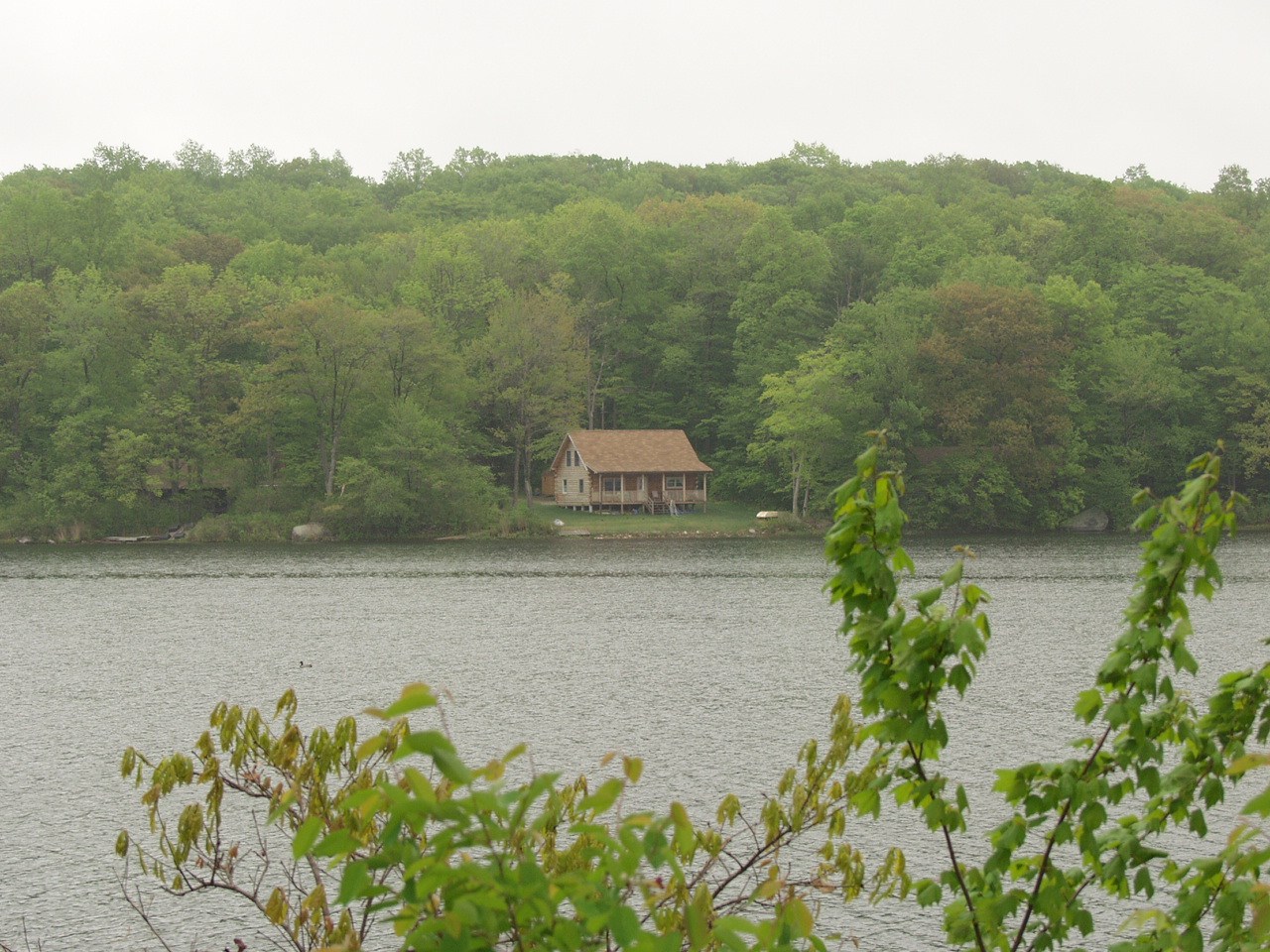 P4271025.JPG