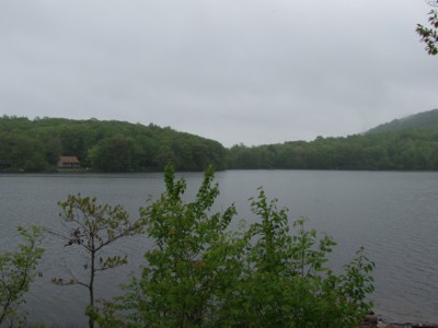 P4271028.JPG