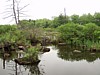 P4271039.JPG