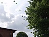 P4281127.JPG