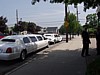 P4281070.JPG
