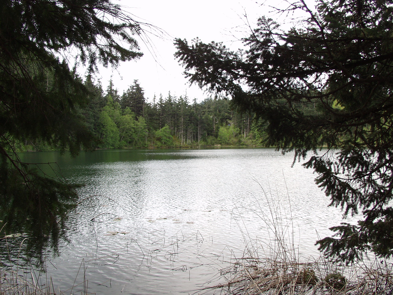 P4140927.JPG