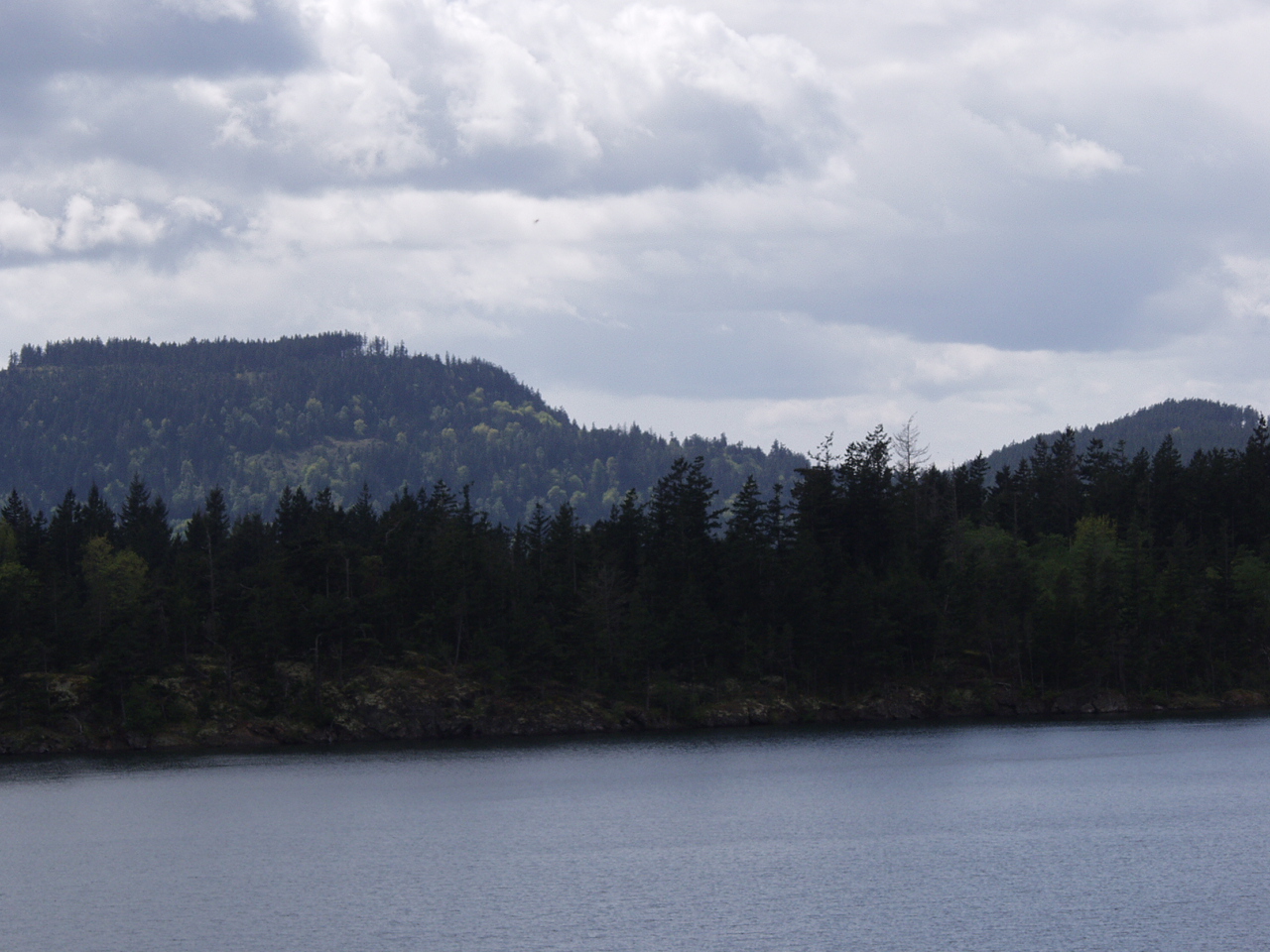 P4140938.JPG