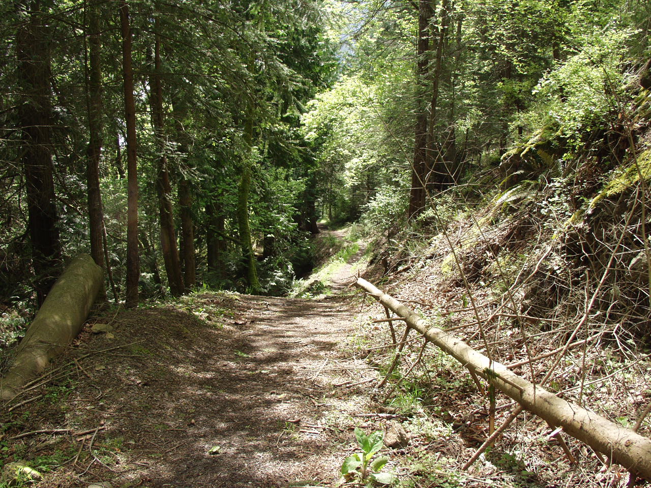 P4140939.JPG