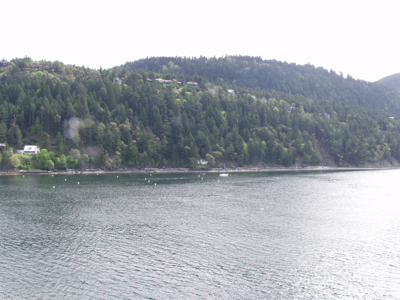 P4150943.JPG