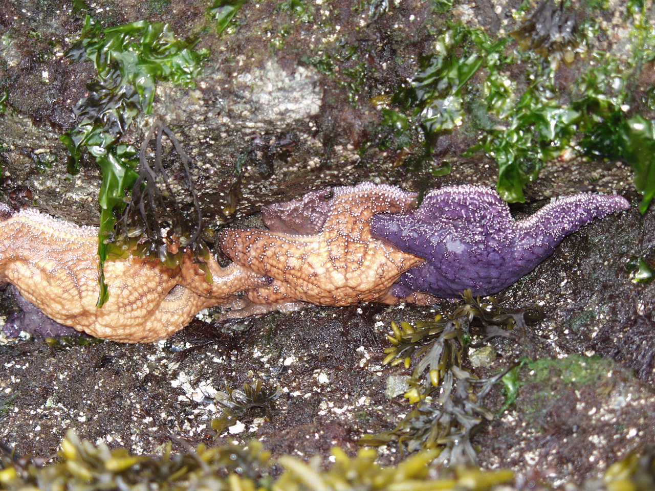P4150946.JPG