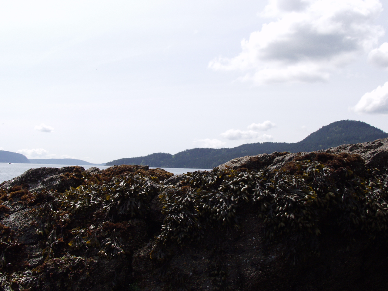 P4150951.JPG