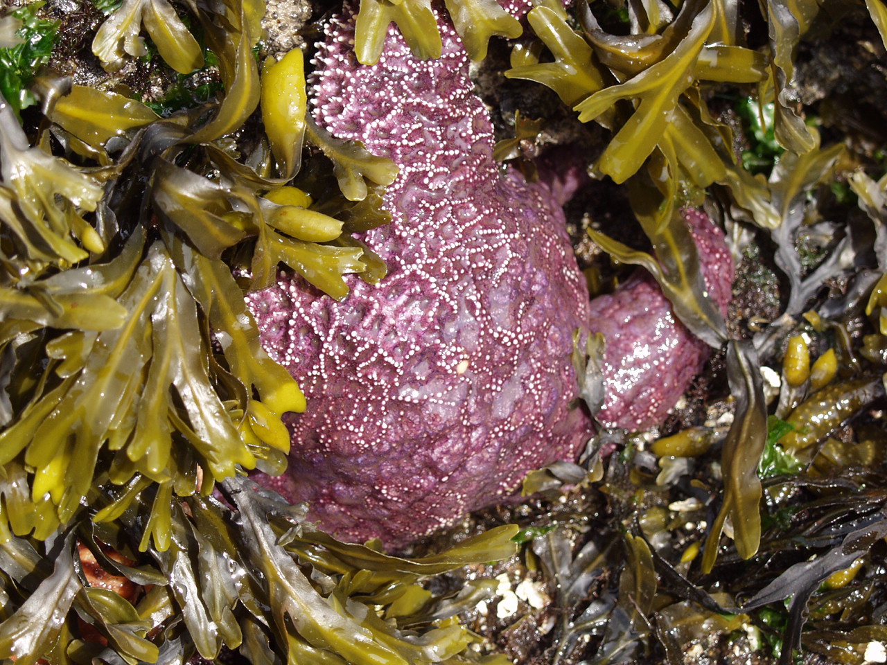 P4150954.JPG
