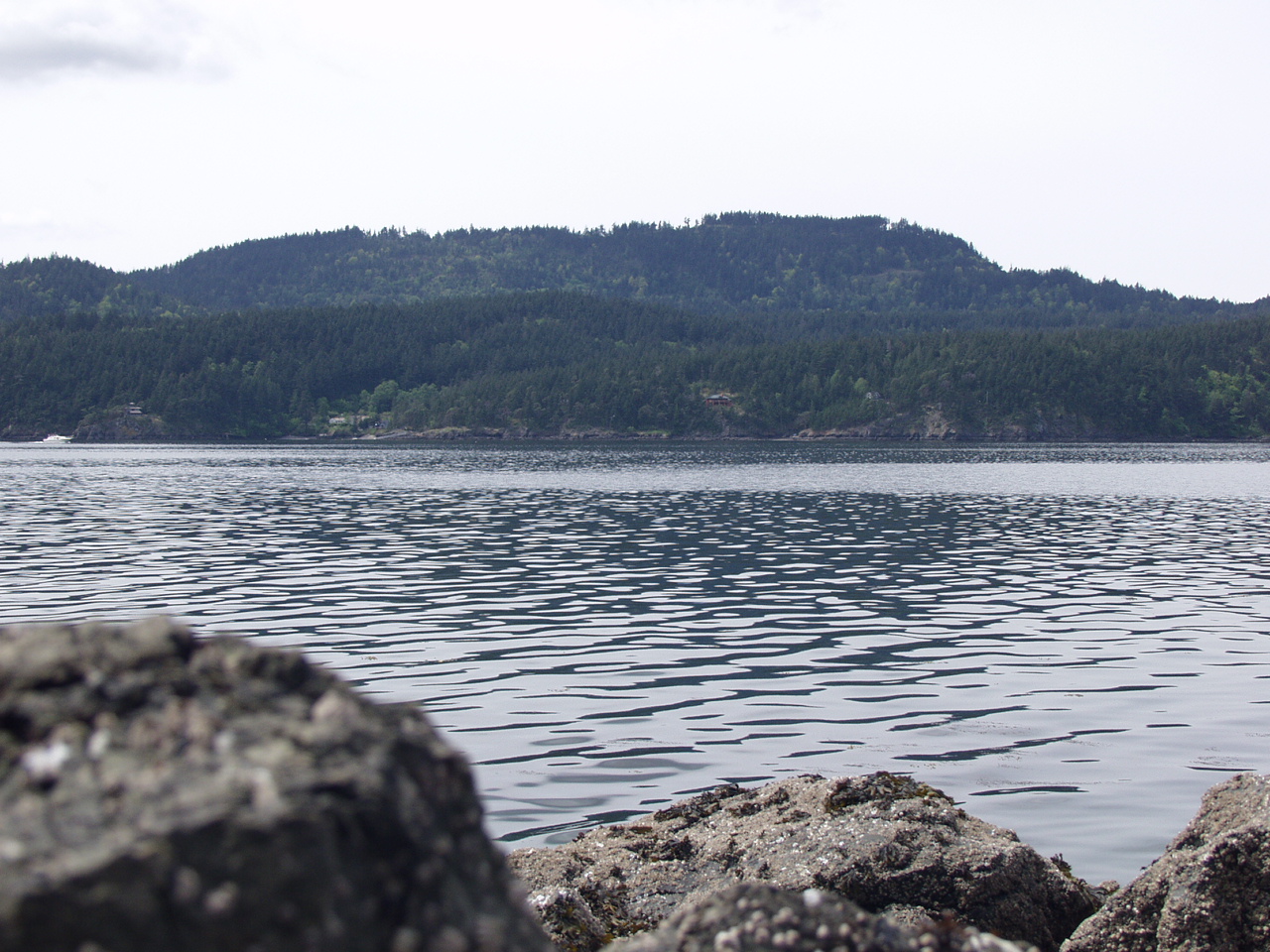 P4150968.JPG