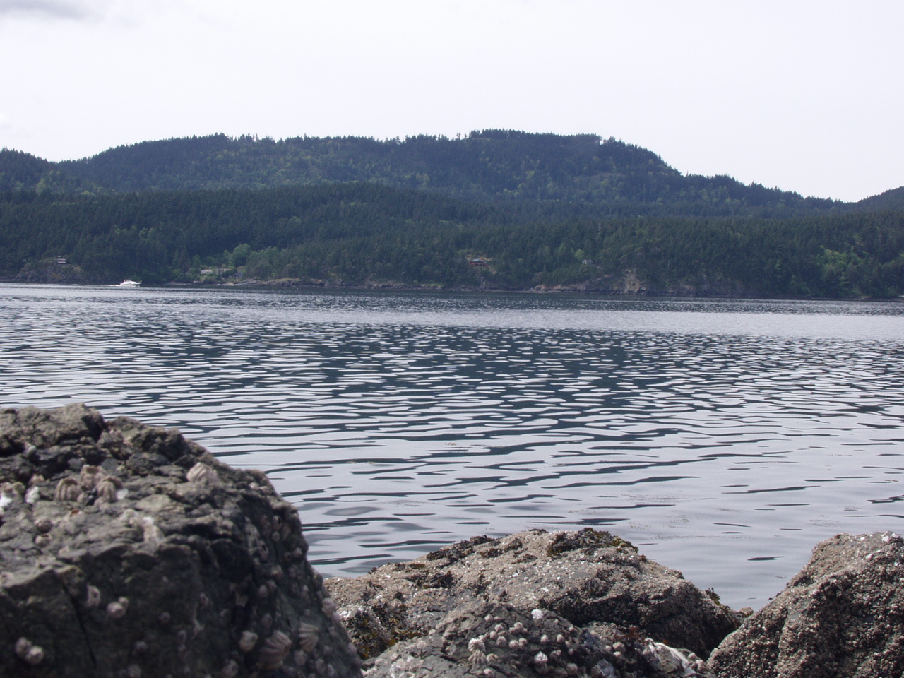 P4150969.JPG