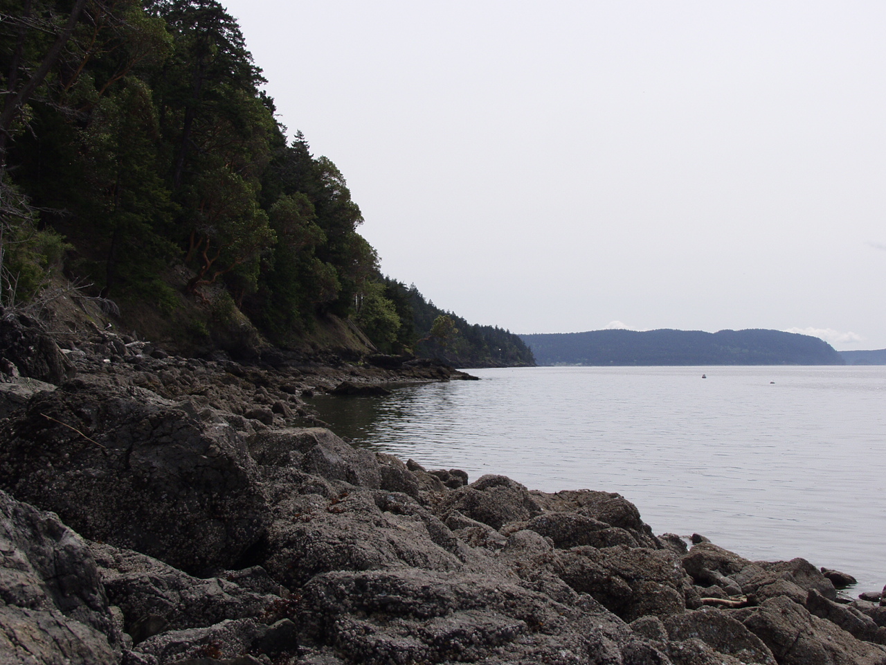 P4150970.JPG