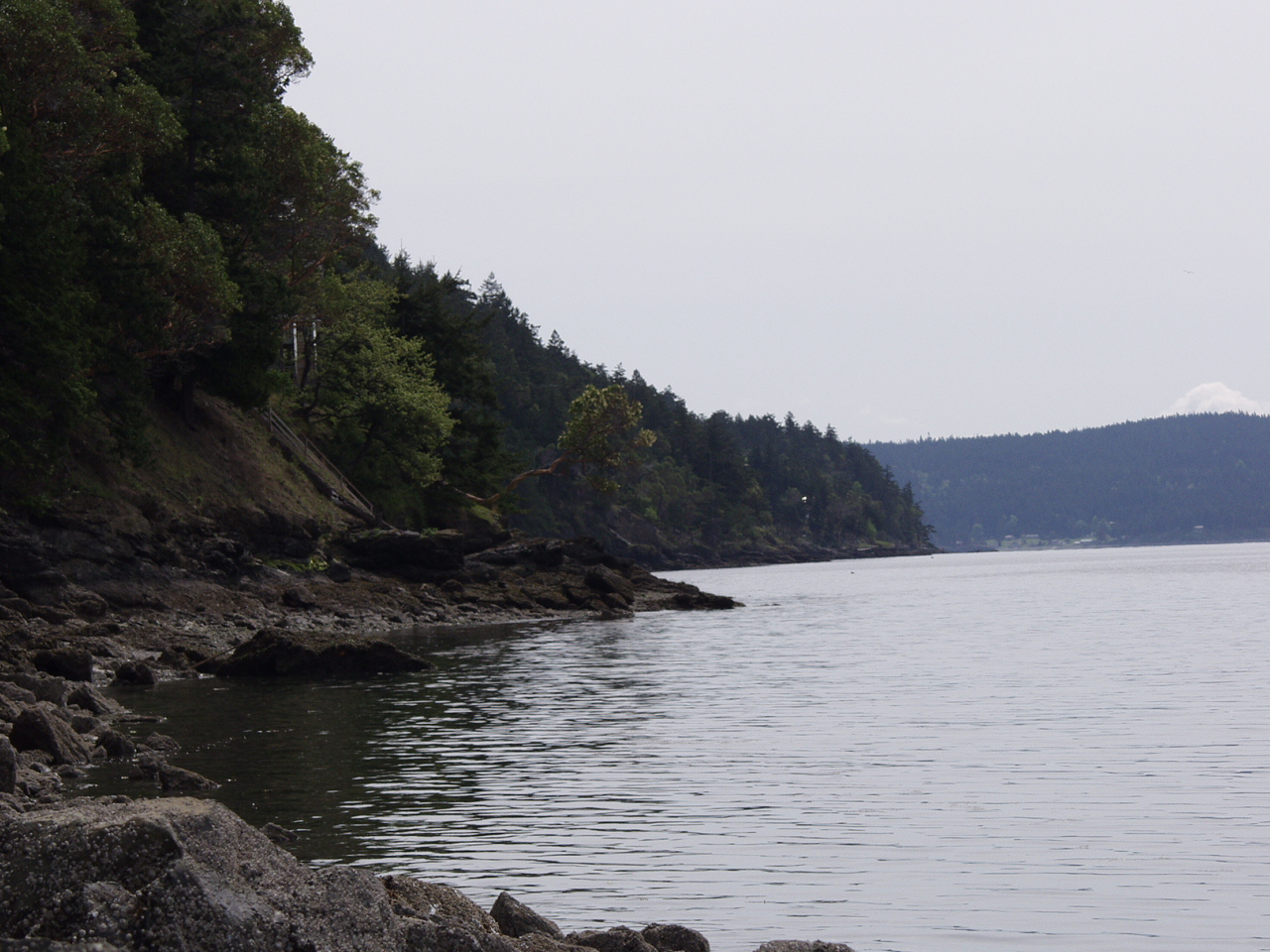 P4150971.JPG