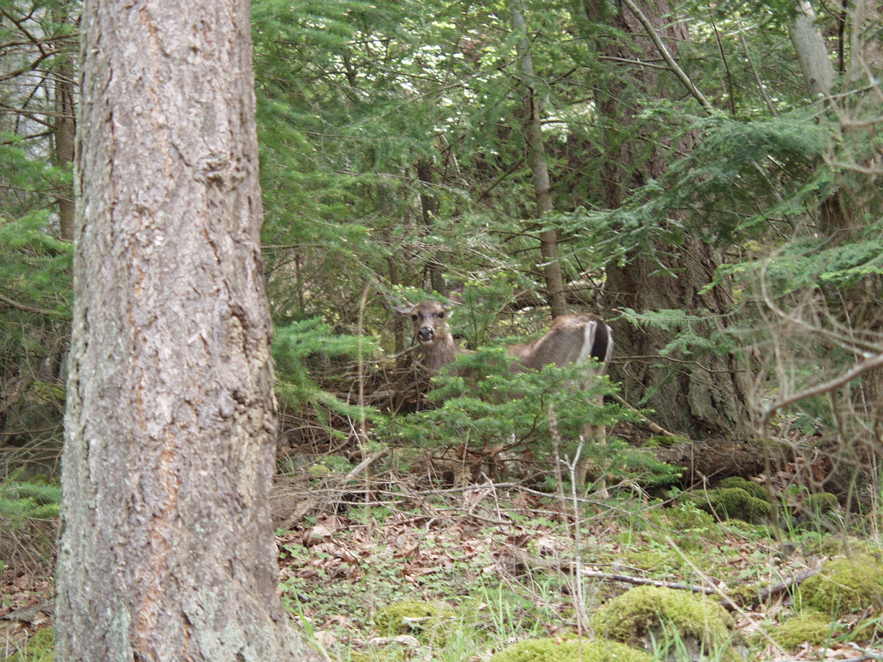 P4150979.JPG