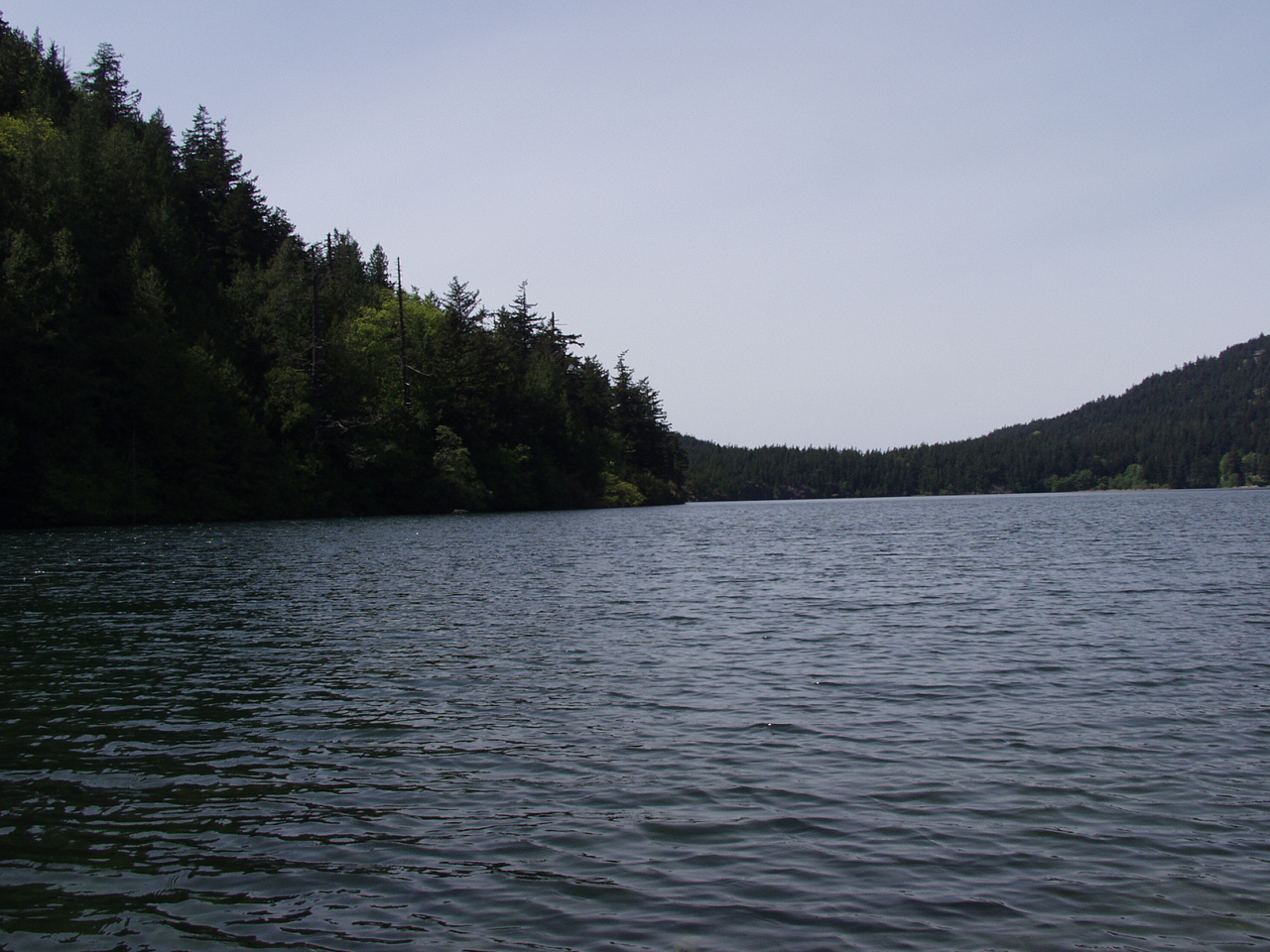 P4150985.JPG