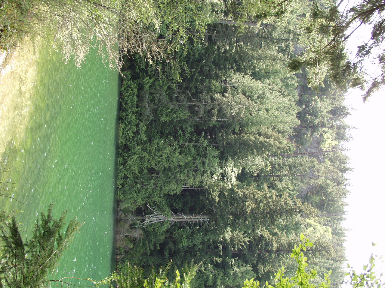 P4150986.JPG