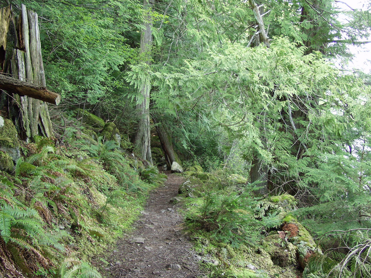 P4150988.JPG