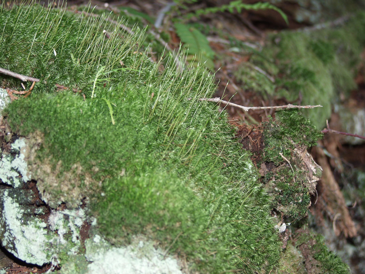 P4150993.JPG