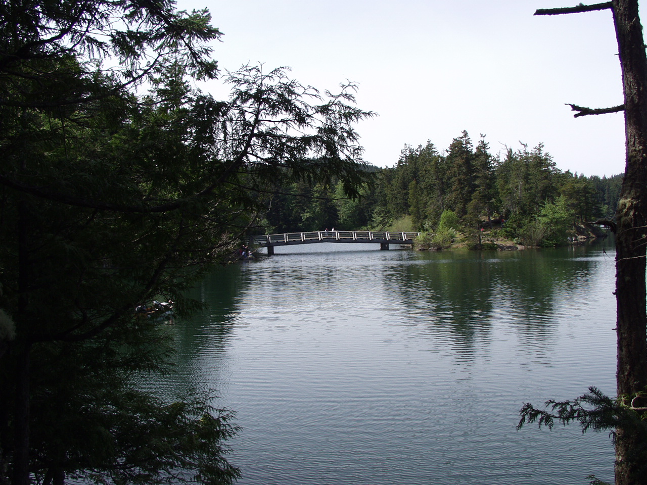P4151003.JPG