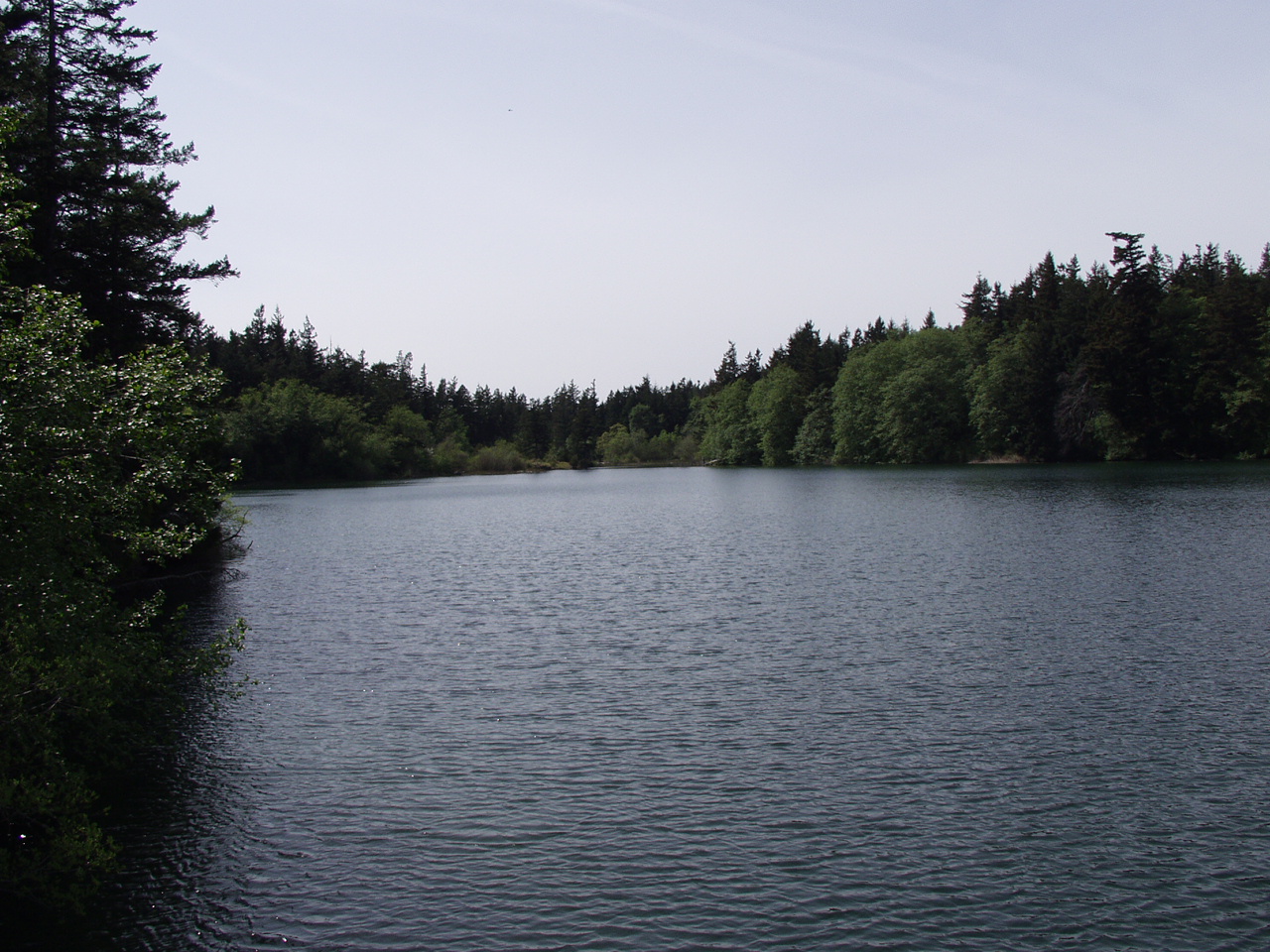 P4151004.JPG
