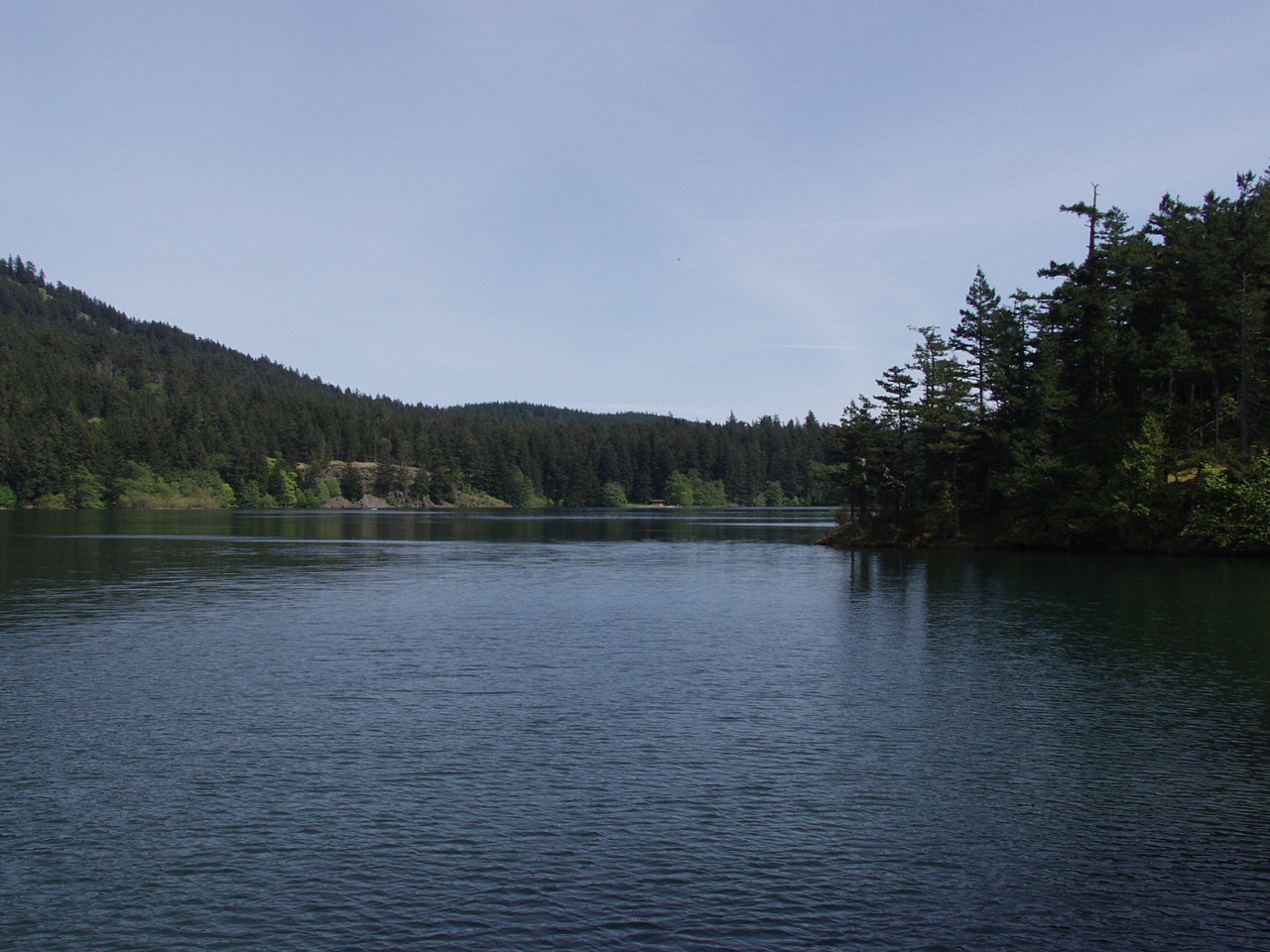 P4151005.JPG