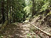 P4140939.JPG