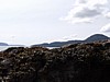 P4150951.JPG