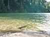 P4150984.JPG