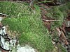 P4150993.JPG