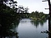 P4151003.JPG
