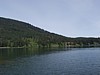 P4151006.JPG