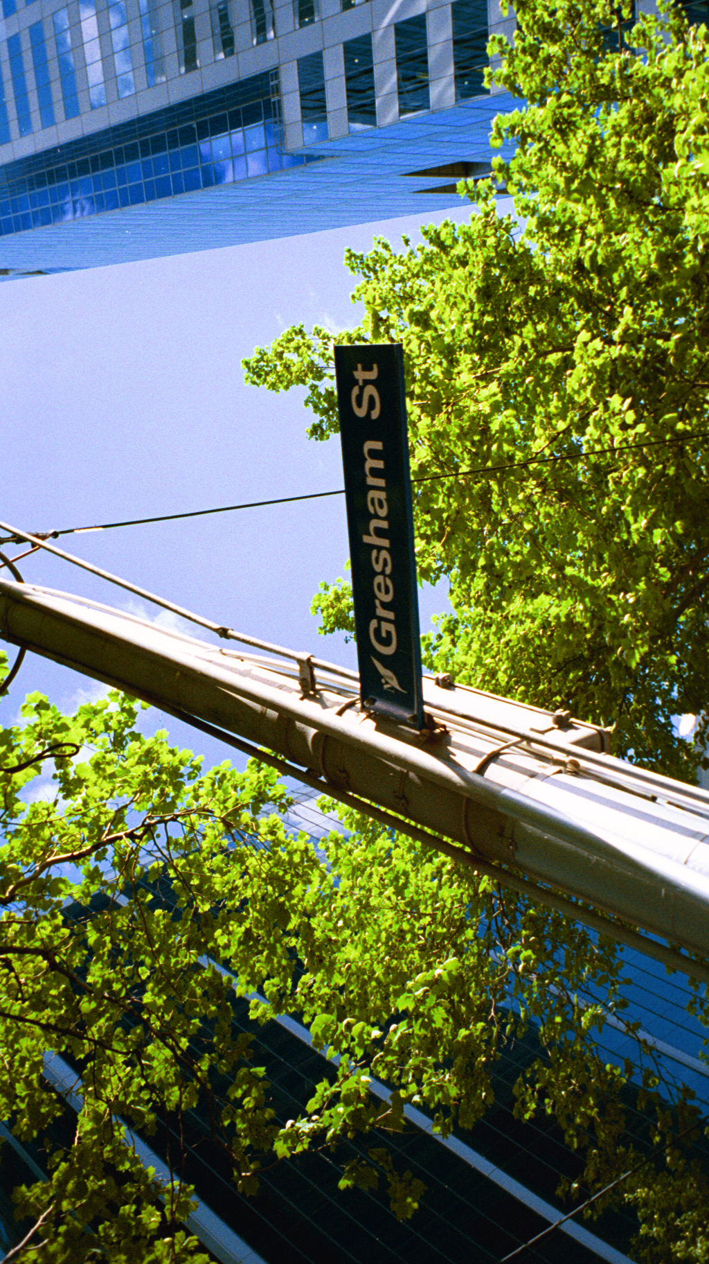 img018.JPG