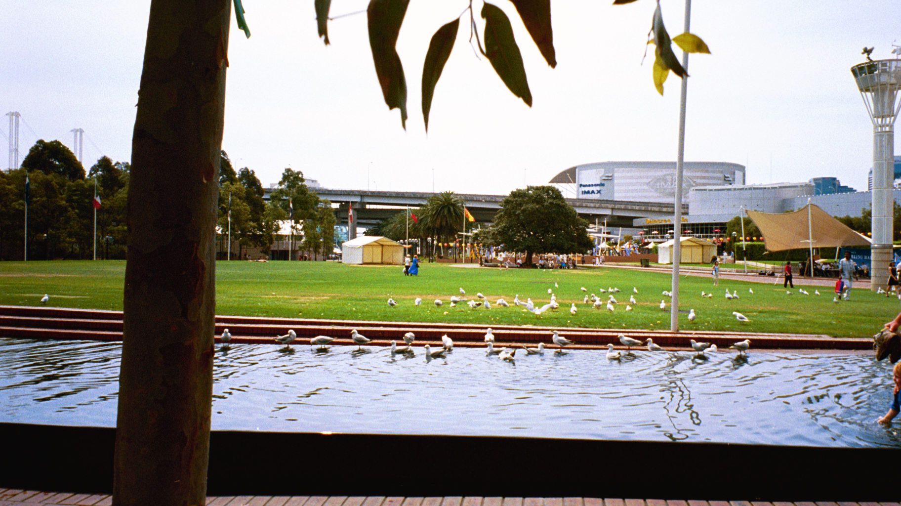 img029.JPG