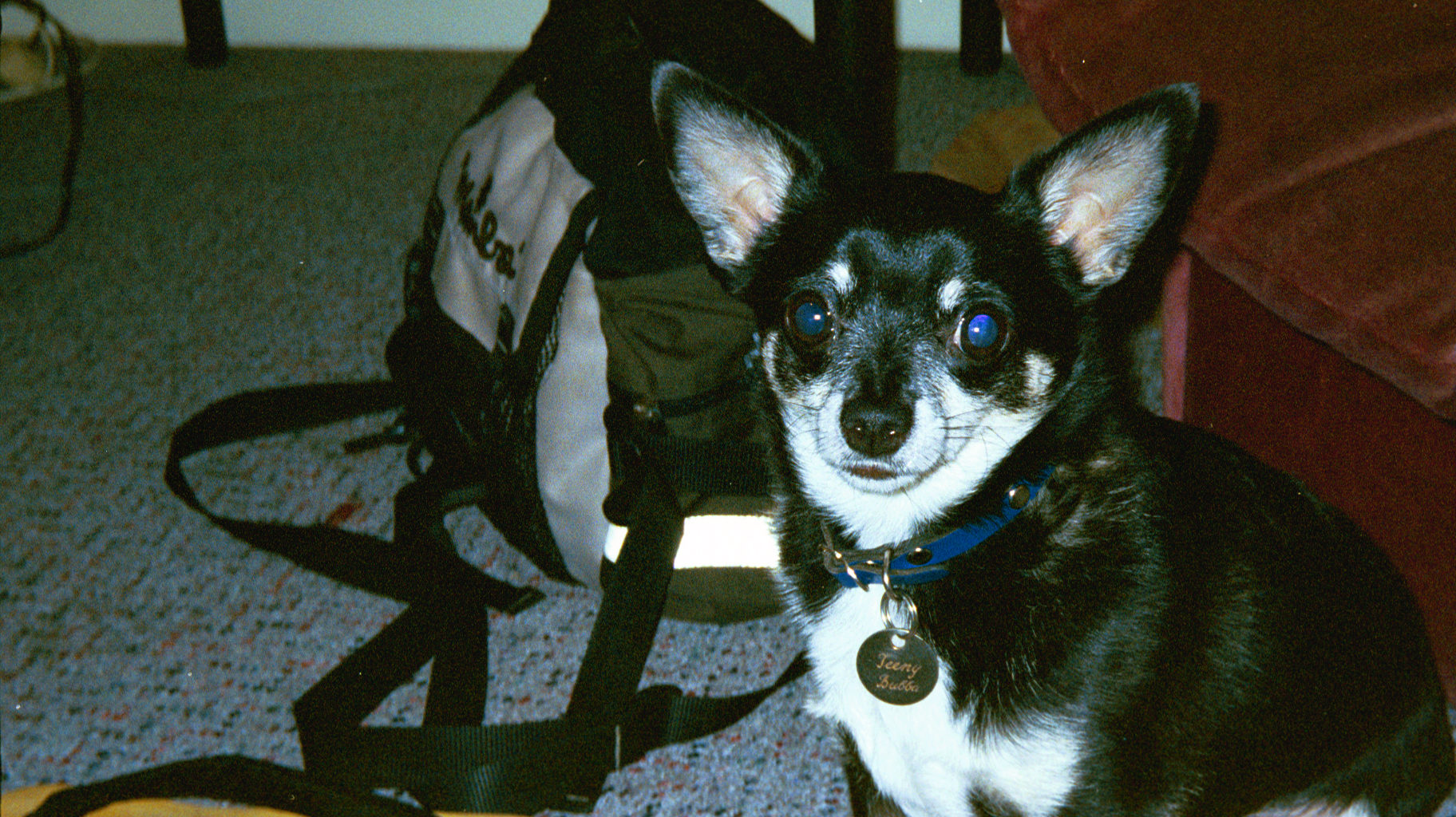 img033.JPG