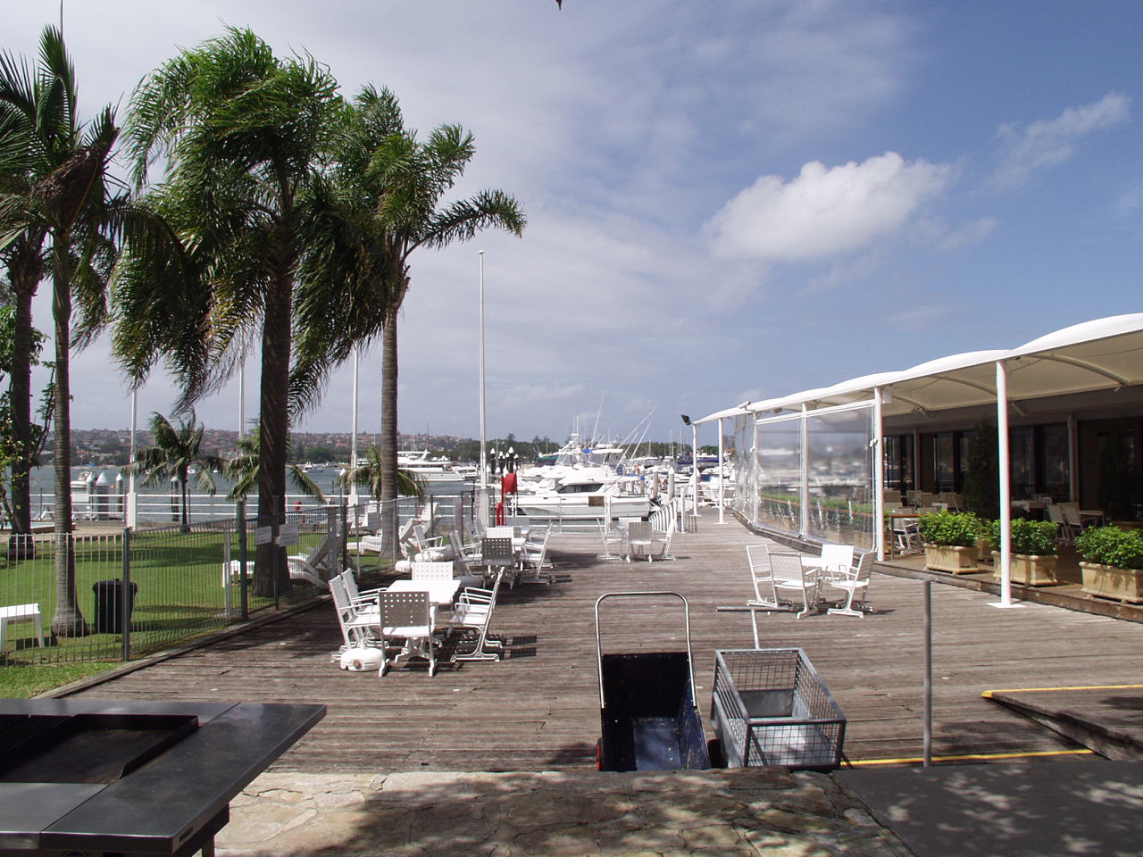 The marina walkway.jpg