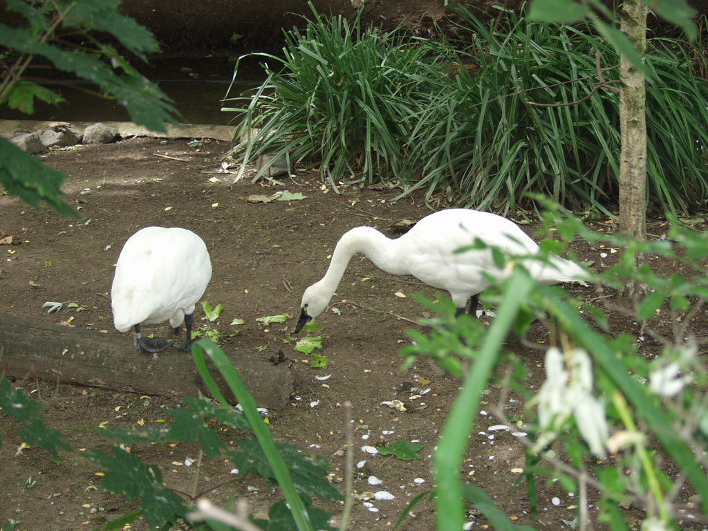 P7141931.JPG