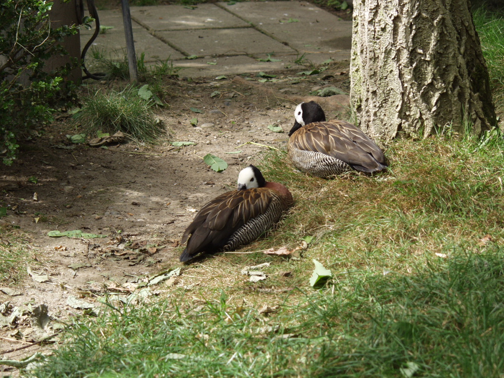 P7141942.JPG