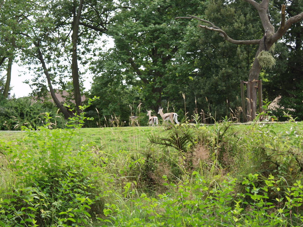 P7141951.JPG