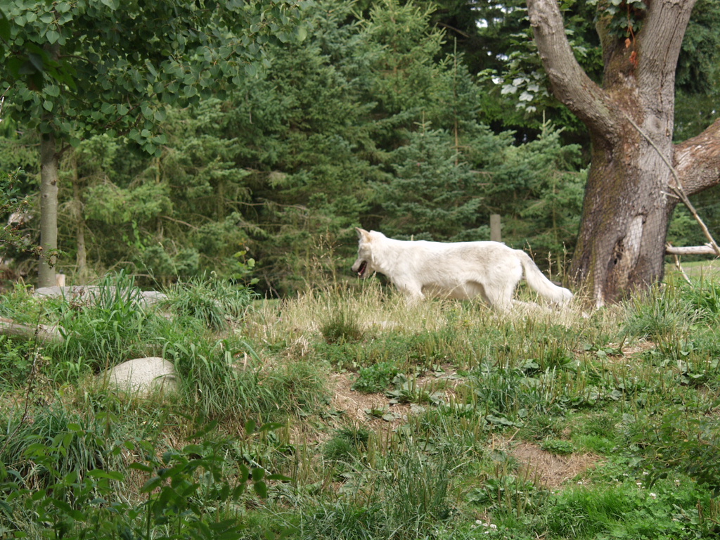 P7141969.JPG