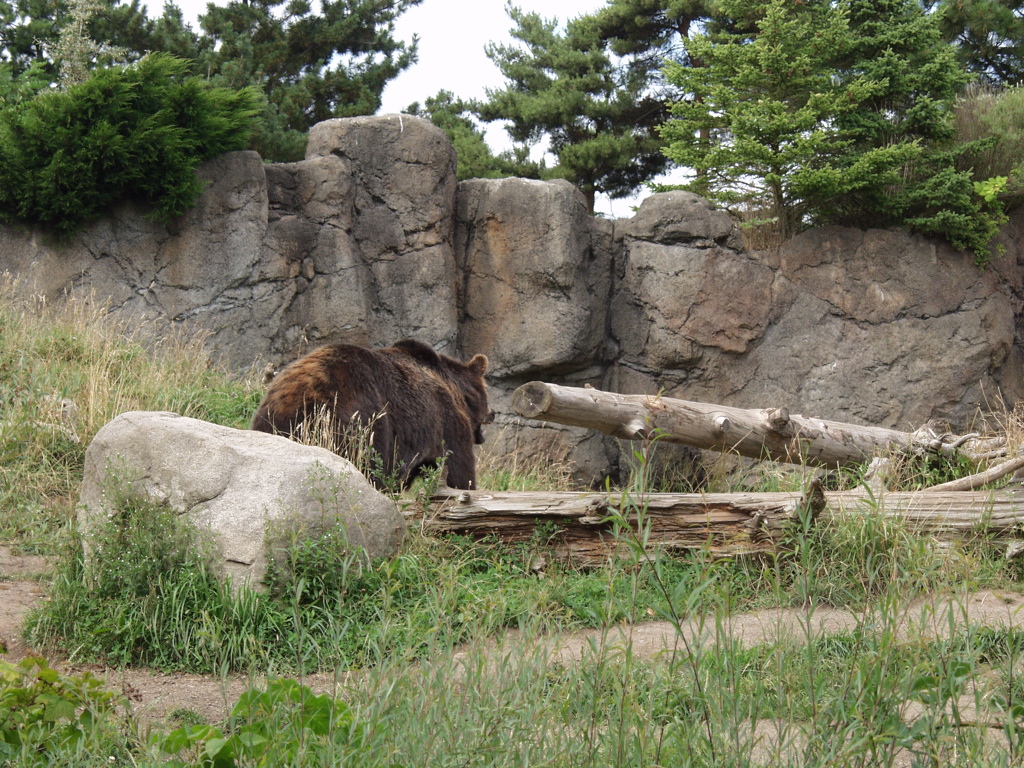 P7141970.JPG
