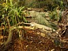 P7141910.JPG