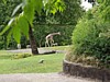 P7141950.JPG
