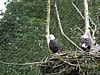 P7142000.JPG