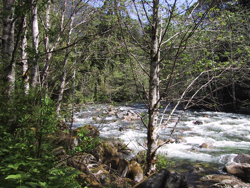 IMG_2377.JPG