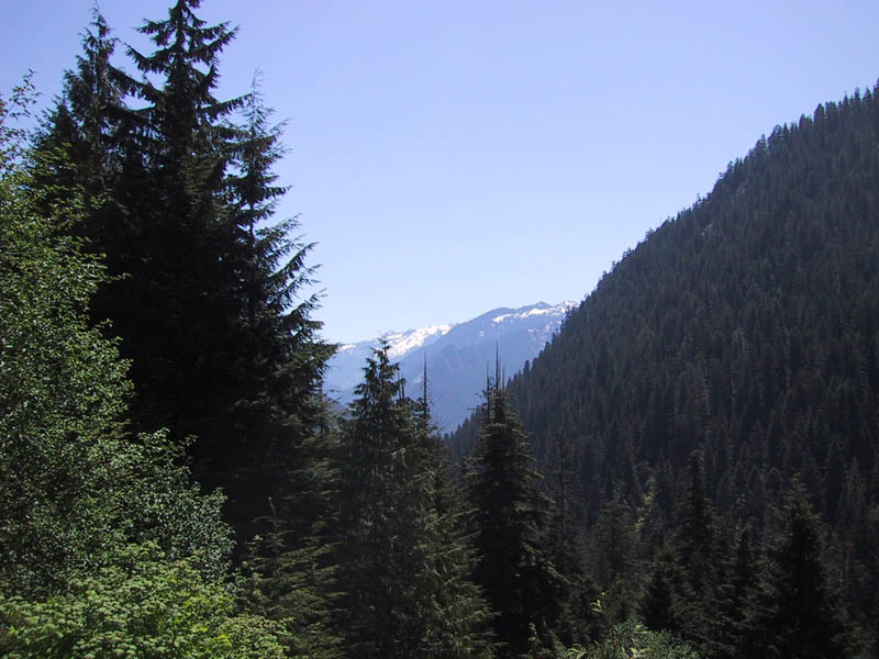 IMG_2382.JPG