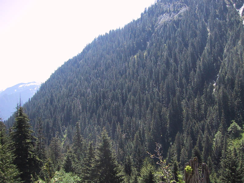 IMG_2383.JPG